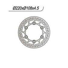 DISQUE DE FREIN ARRIÈRE NG