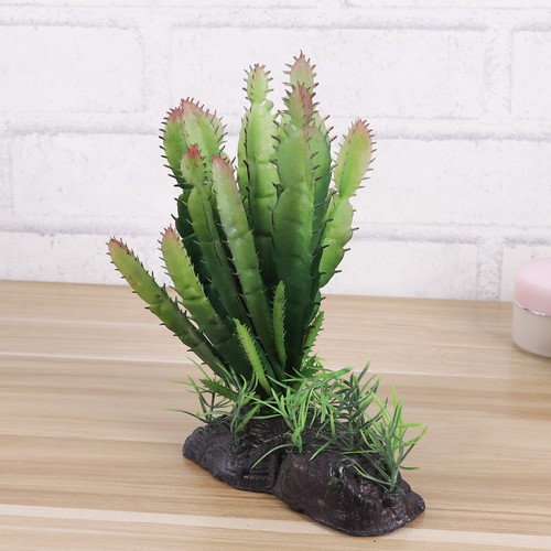 Décor terrarium simulé - décor,