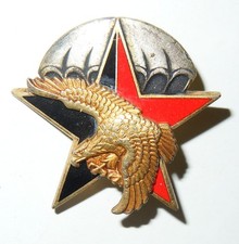 INSIGNE 11° DEMI BRIGADE