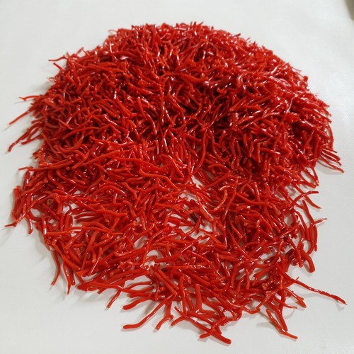 Branche corail rouge - corail,