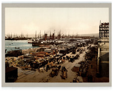 France, Marseille, Quai de la Joliette et Messageries Maritimes vintage photochr