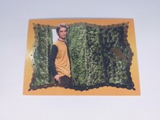 Carte Panini, Édition Limitée. Harry Potter : Les Maisons De Poudlard, LE 2, TBE