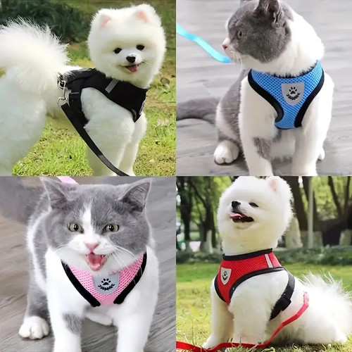 Harnais pour chien - harnais, chat