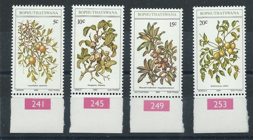 Bophuthastswana 59 - bophuthastswana, n°