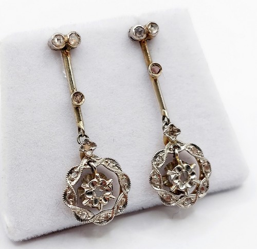 Puces oreilles marguerite - d'oreilles,