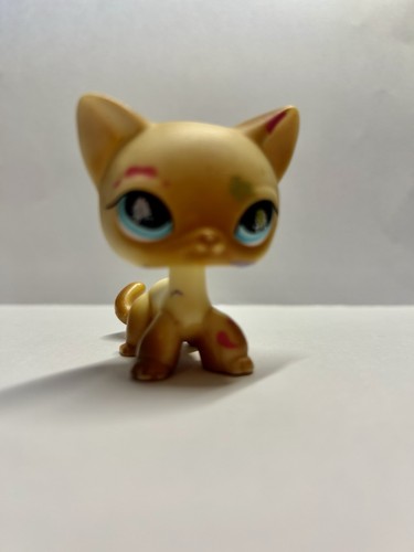 Lps little petshop - lps, rare-