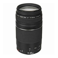 Objectif Canon EF 75-300mm F/4-5.6 III