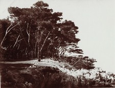 FRANCE  Baie de CANNES Un coin de l'Ile Saint Honorat  1907