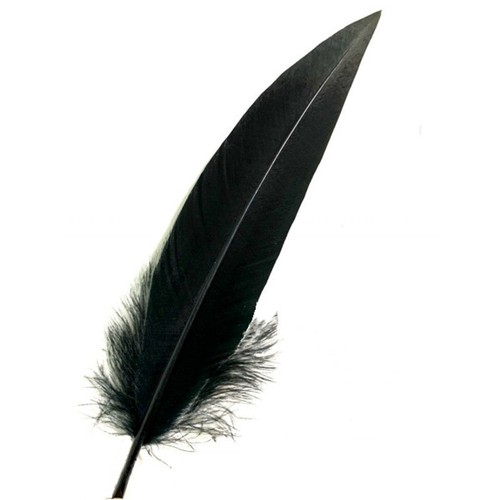 Tenet plume aigle noir - tenet,