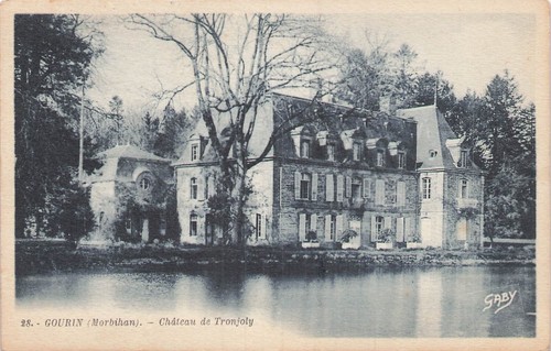 Gourin chateau 49738 - gourin,