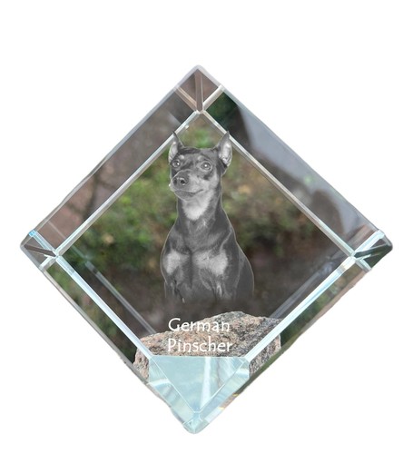Pinscher allemand pendentif - pinscher,