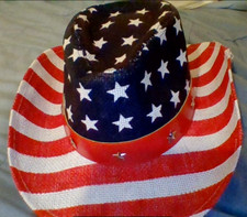 USA US American Flag Straw