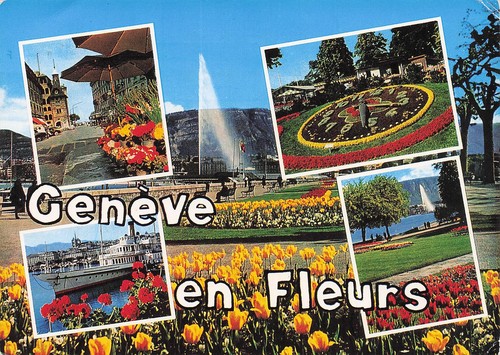 Suisse geneve jet eau et - suisse,