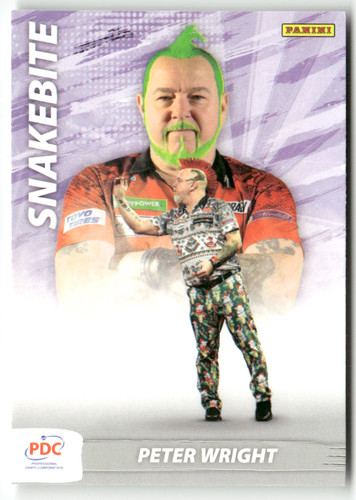 Panini 2024 pdc - pdc, monde