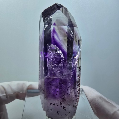 Enhydro skeleton phantom - enhydro,
