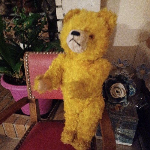Ours augustin ancien - ancien, steiff