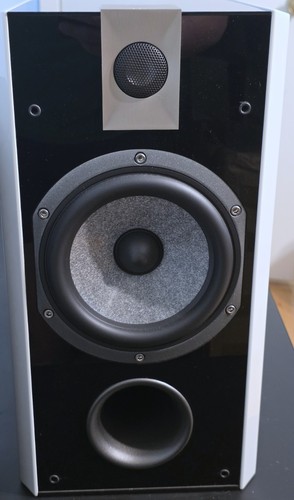 Focal chorus 807 - 807, w