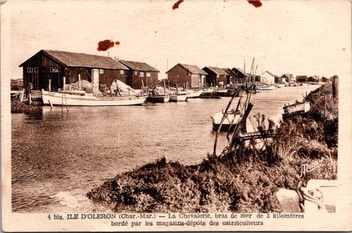 81905 cpa ile - ile,