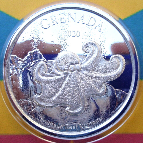 2020 grenada caribbean reef - 2020,