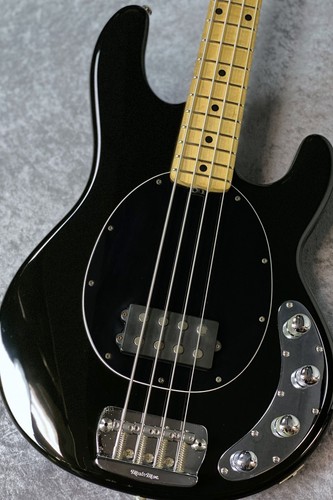 Music man stingray noir - man,