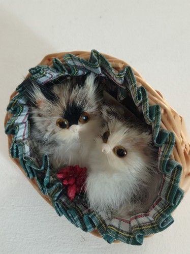 Chatons couchés dans - , une