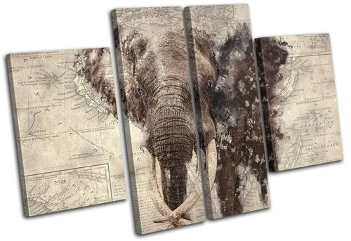 Africa elephant map - elephant,