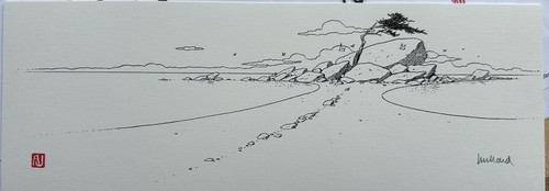 Carte vœux juillard 2012 - de,