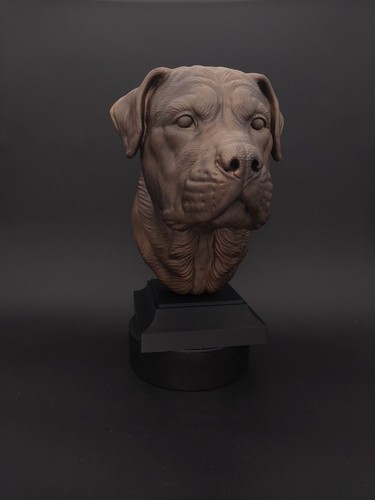 Buste rottweiler statue - buste,