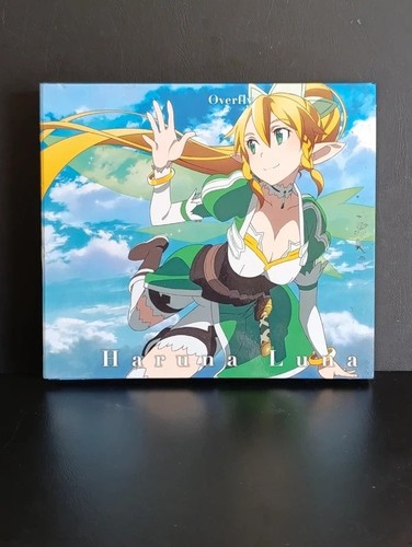 Sword art online - art, overfly