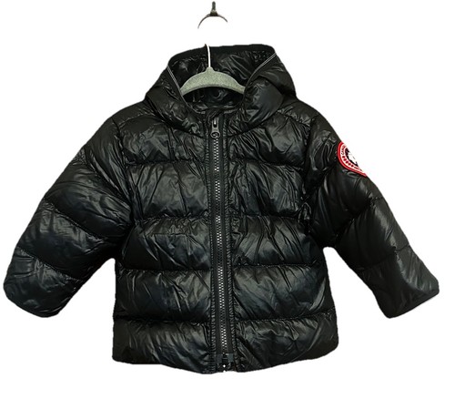 Canada goose baby crofton - goose,