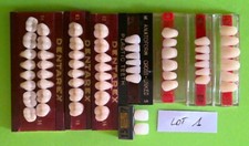 LOT DENTS PROTHESE DENTAIRE