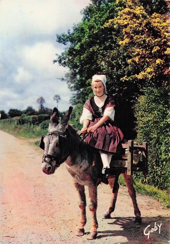 Cherbourg traite des vaches - 50,