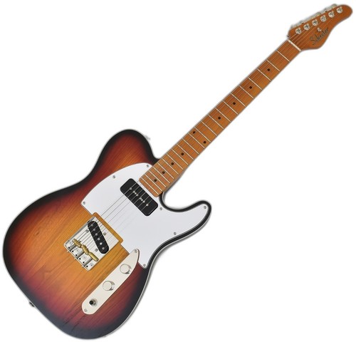 Schecter special guitar - pt,