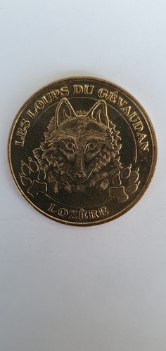 2007 jeton medaille monnaie - 2007,