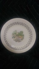 Old Eire by Salem China Plate