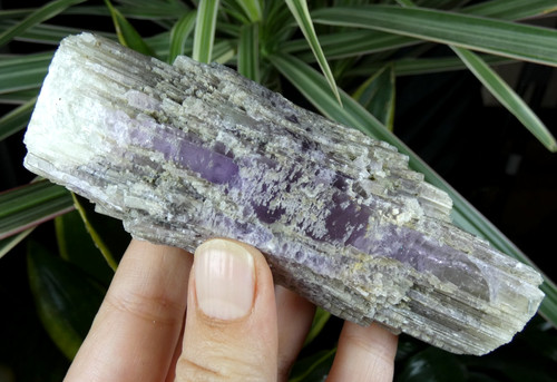 Belle aragonite mauve - belle,
