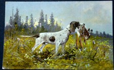 49525 AK Chien De Chasse Avec Un Lièvre Abattu Dans La Bouche Sur La Prairie