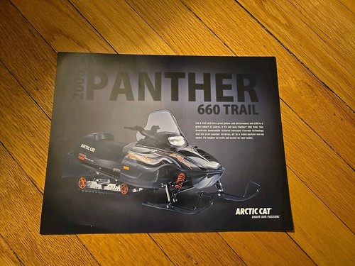 Arctic cat 2006 - cat,