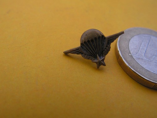 Petit insigne broche - insigne,