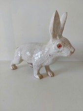 Rarissime grand lapin en terre