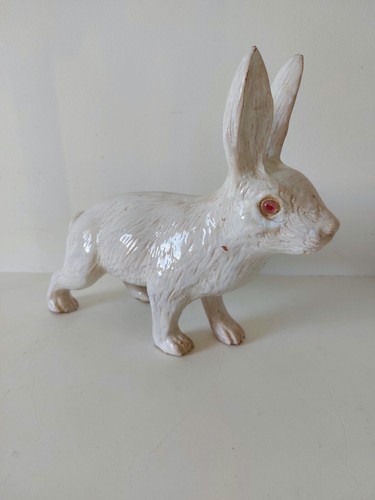 Rarissime grand lapin terre - en,