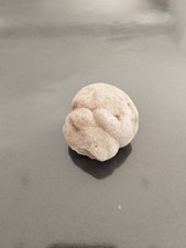 Gogotte, Fontainebleau, France