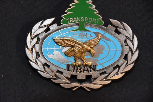 Insigne opex 13e bataillon - insigne,