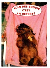 CPM: Yorkshire avec Cornet de Glace et Lunettes Loin des Soucis c'est la Détente