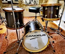 Canopus Neo Vintage NV60-M1