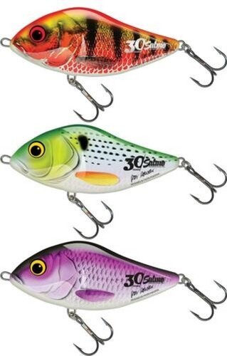 Salmo 30th anniversary slider - salmo,