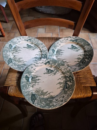 Assiettes plates neige - 3,