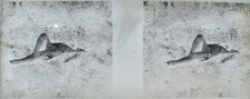 Femmes nues 1920 - 1920, verre