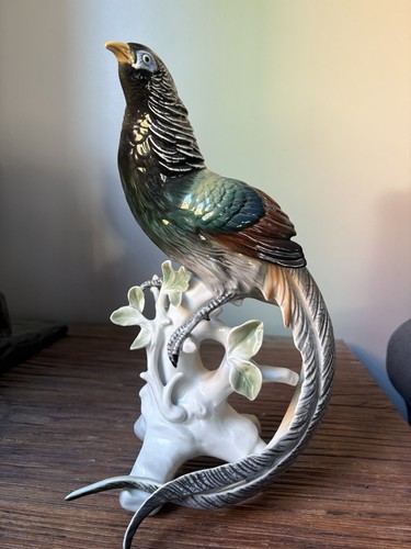 Grand faisan porcelaine - faisan,