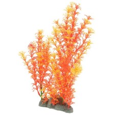  Herbe D'aquarium Résistante